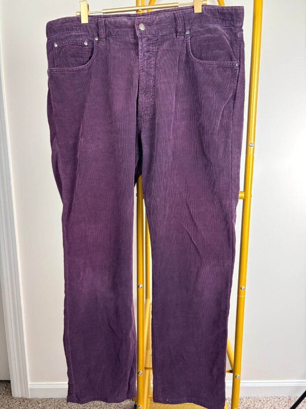 Ermenegildo ZEGNA Italian Purple CORDUROY Pants 37 w
